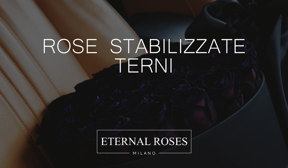 Rose Eterne Stabilizzate a Terni