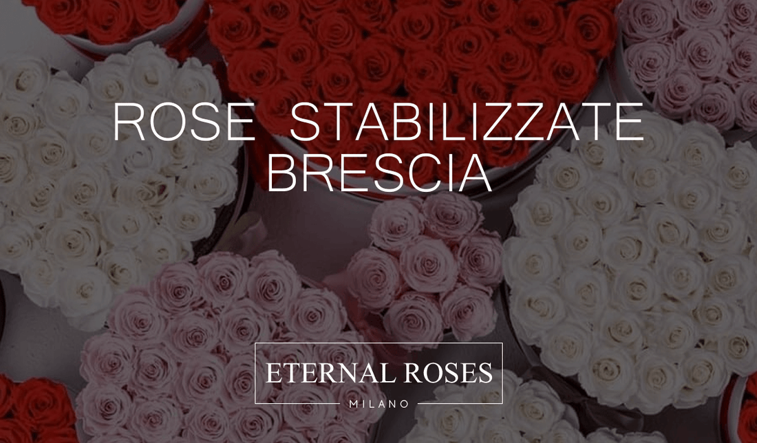 Rose Eterne Stabilizzate a Brescia