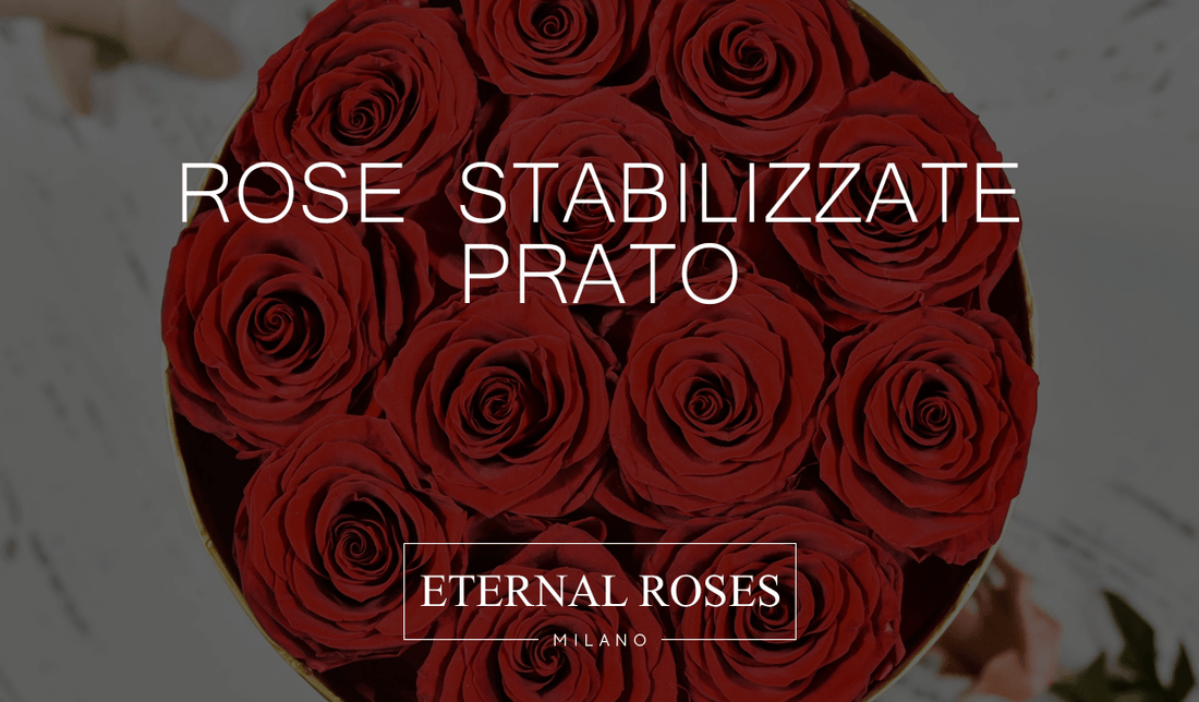 Rose Eterne Stabilizzate a Prato