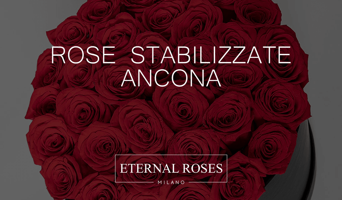 Rose Eterne Stabilizzate a Ancona