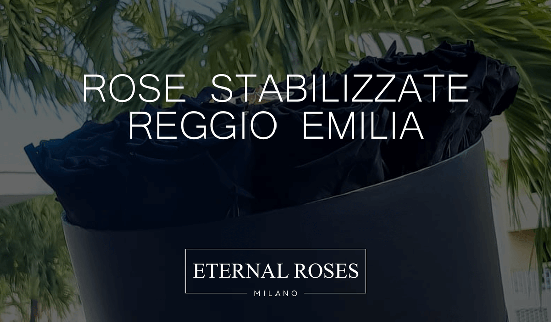 Rose Eterne Stabilizzate a Reggio Emilia