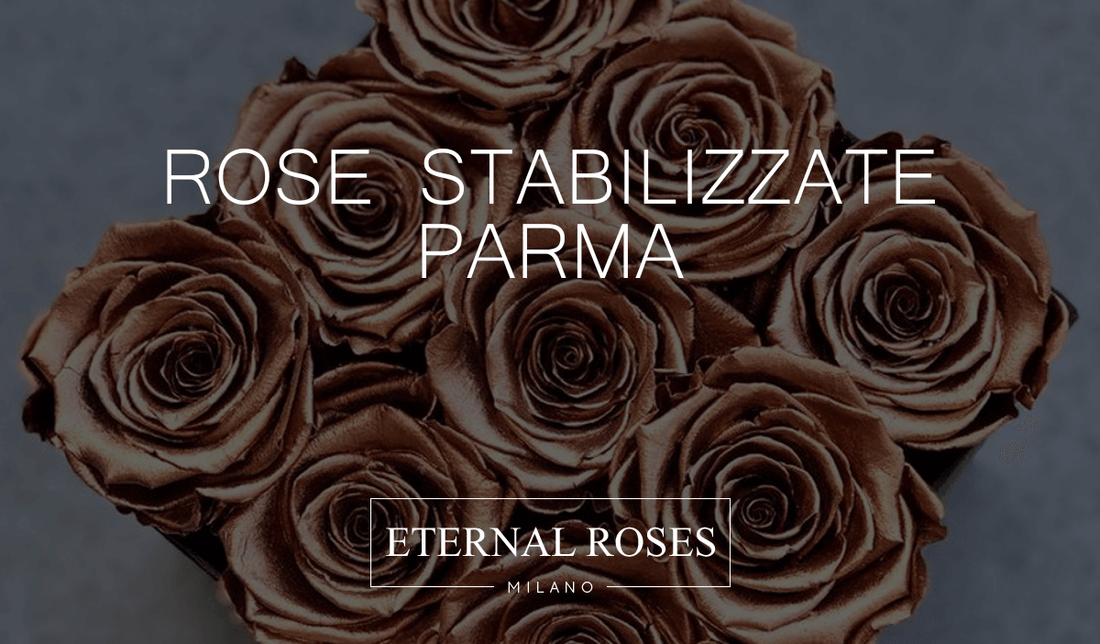 Rose Eterne Stabilizzate a Parma