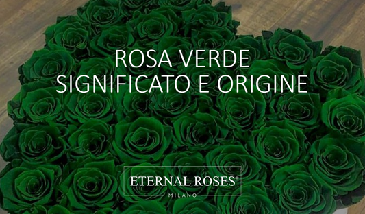 Rose Eterna Stabilizzata Verde