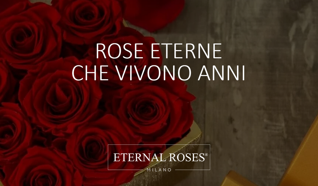 Rose Eterne Stabilizzate che vivono anni