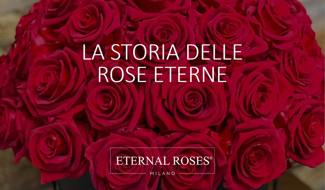 La storia delle Rose Eterne Stabilizzate