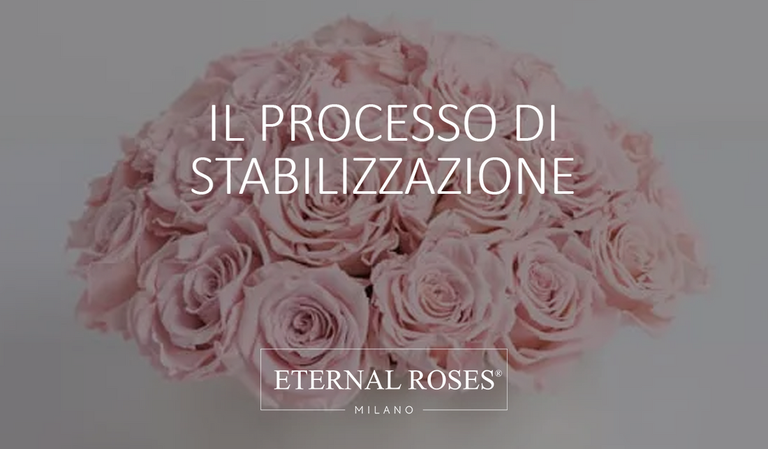 Rose Stabilizzate - Il Processo