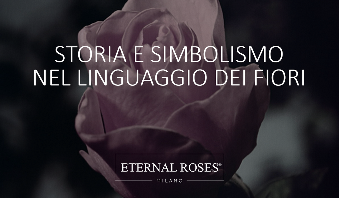 Rose Stabilizzate - Storia e Simbolismo