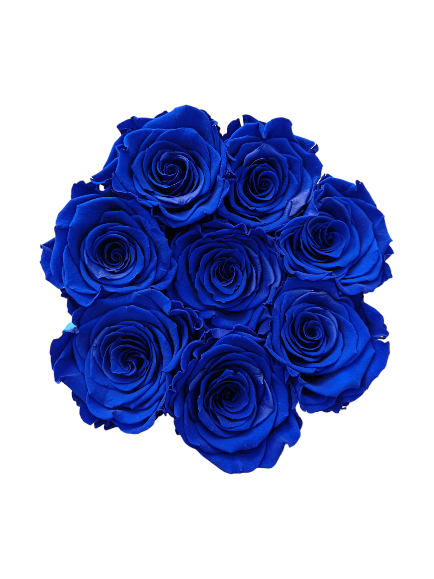 Boîte Blanche M - Roses Bleues Stabilisées