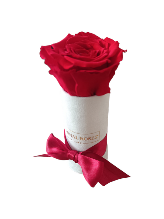 Coffret Luxe Blanc XS - Rose Rouge Stabilisé