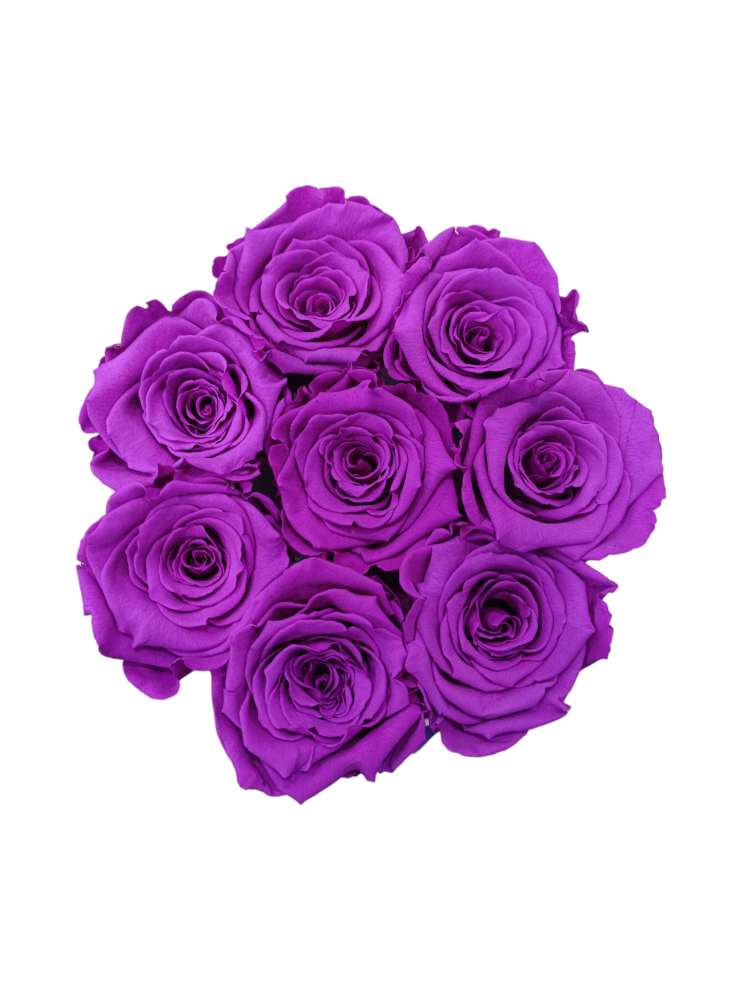 Boîte Blanche M - Roses Violettes Stabilisées