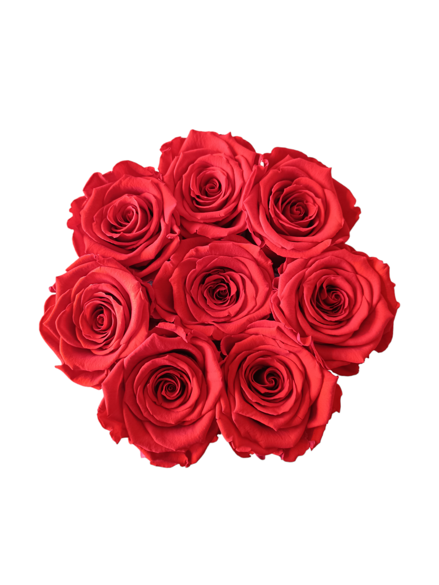 Coffret Luxe Noir M - Roses Rouges Stabilisées