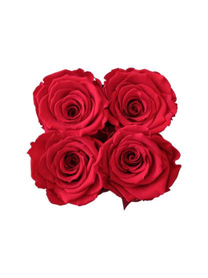 Coffret Luxe Carré Noir S - Roses Rouges Stabilisées