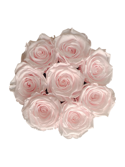 White Box M - Roses roses stabilisées