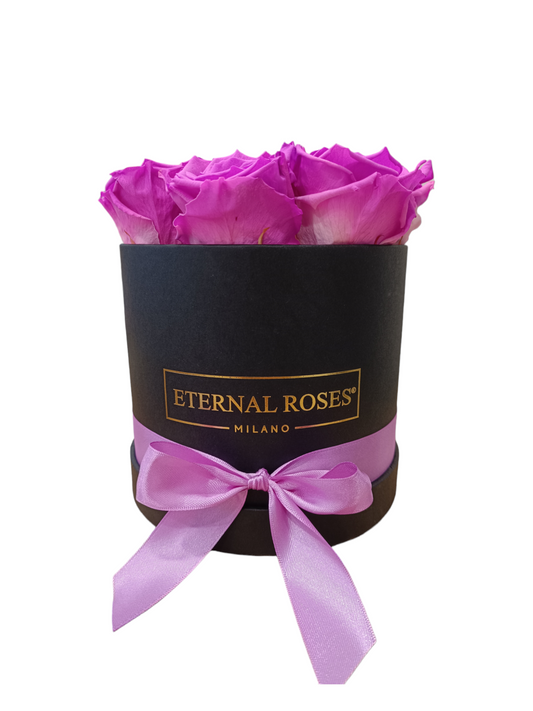 Black Box M - Roses violettes stabilisées