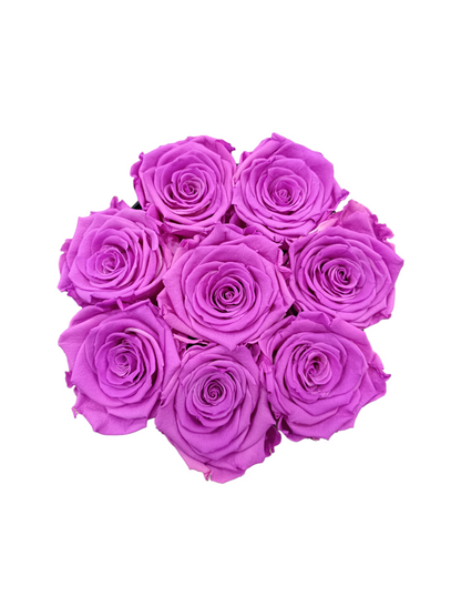 Black Box M - Roses violettes stabilisées