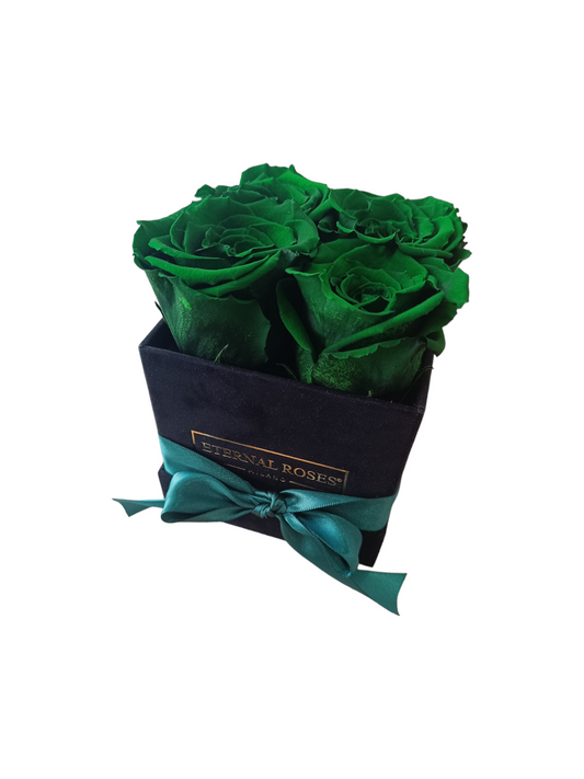 Coffret Luxe Carré Noir S - Roses Vertes Stabilisées