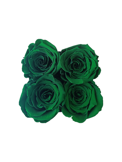 Coffret Luxe Carré Noir S - Roses Vertes Stabilisées