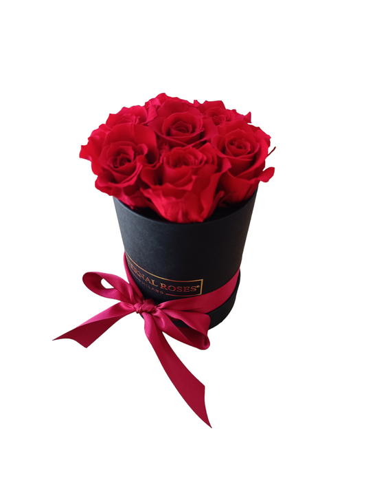 Black Box S - Roses rouges stabilisées