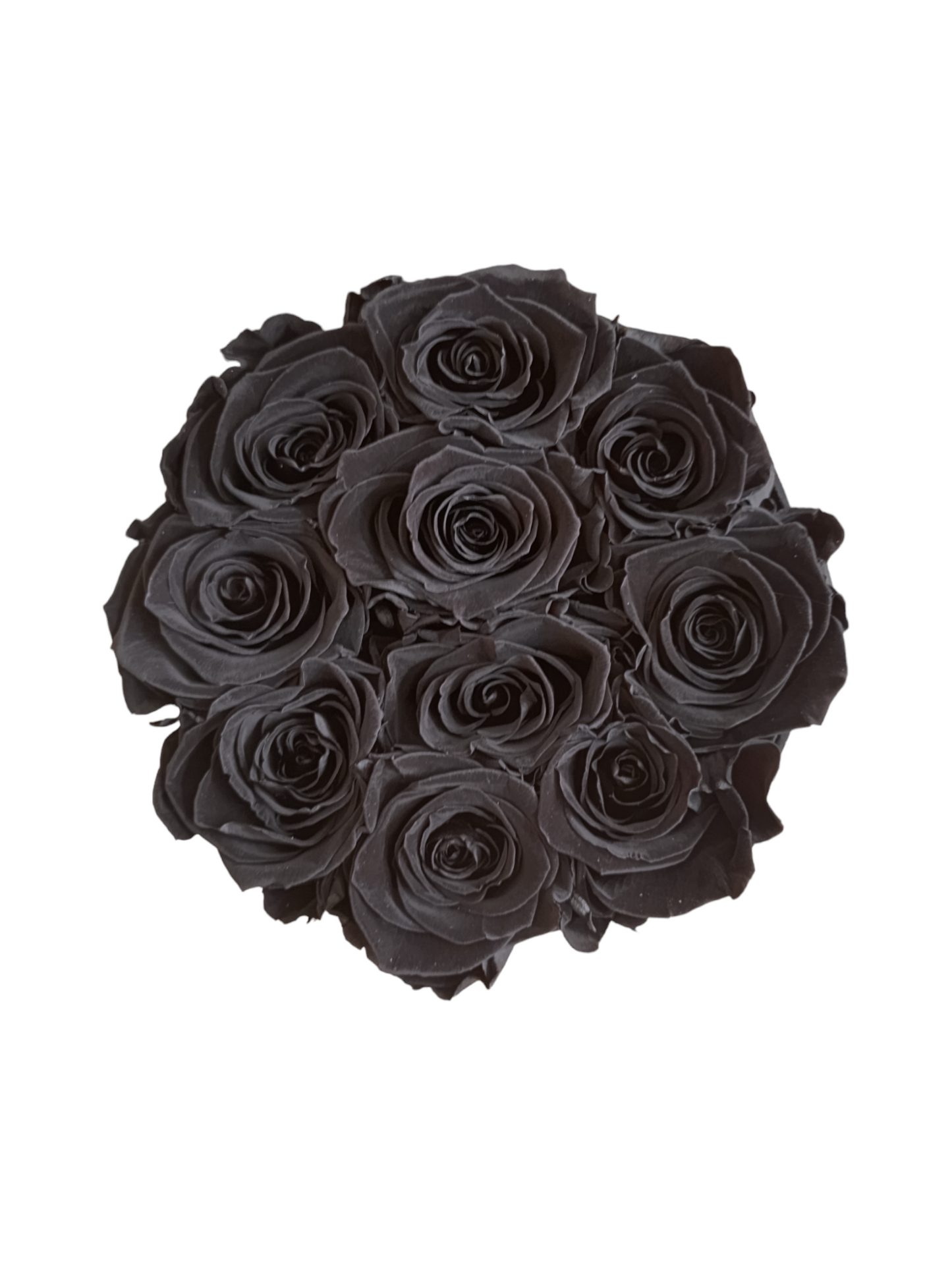 Coffret Luxe Noir M - Roses Stabilisées Noires