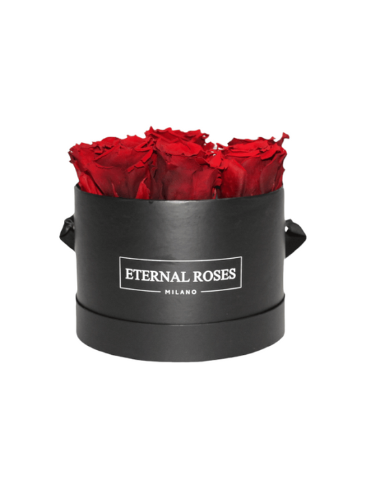 Roses Éternelles Rouge Foncé Stabilisées XL - Boîte Noire M